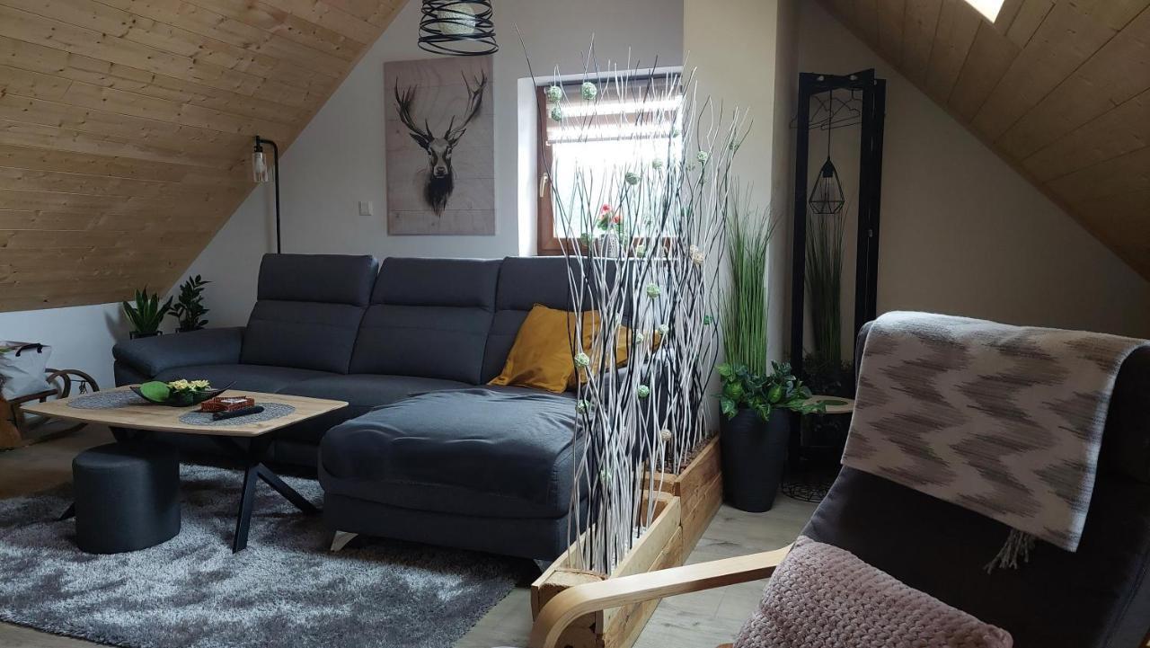 Apartman Pod Smrcinou Vaclavov u Bruntalu Εξωτερικό φωτογραφία